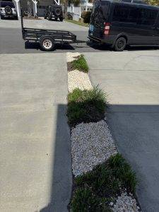 Facebook (19)
